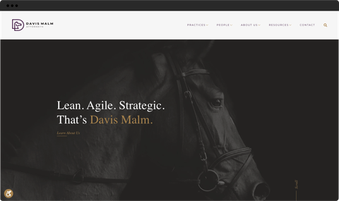 Davis Malm Home page with bold hero image