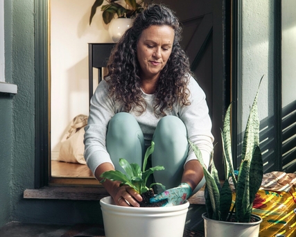 How to choose a branding agency: Header Image